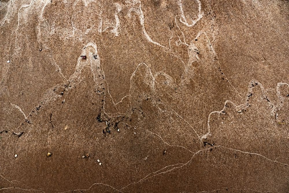 Photograph by Людмила Александровна