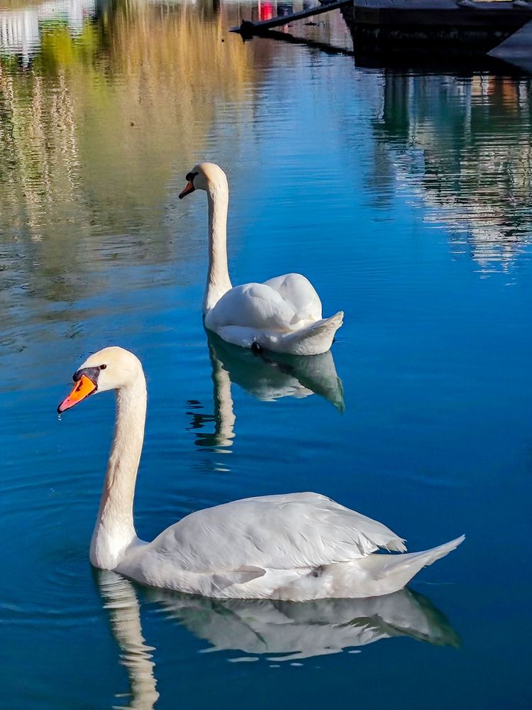 Photograph by Володин Андрей