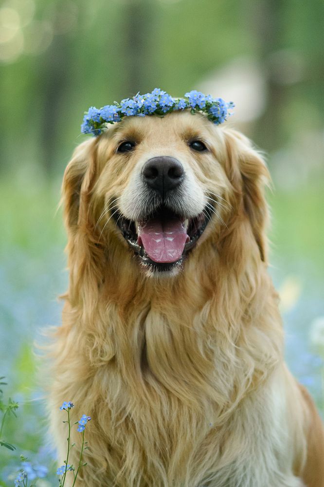 Photograph by Анна Абрамова