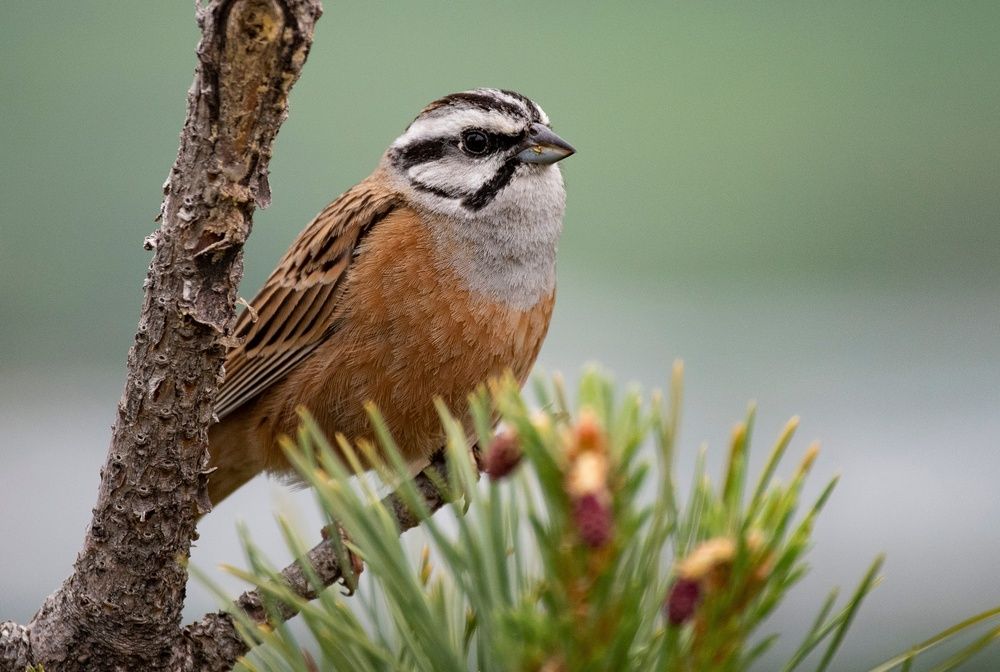 Photograph by Gurdina Lena