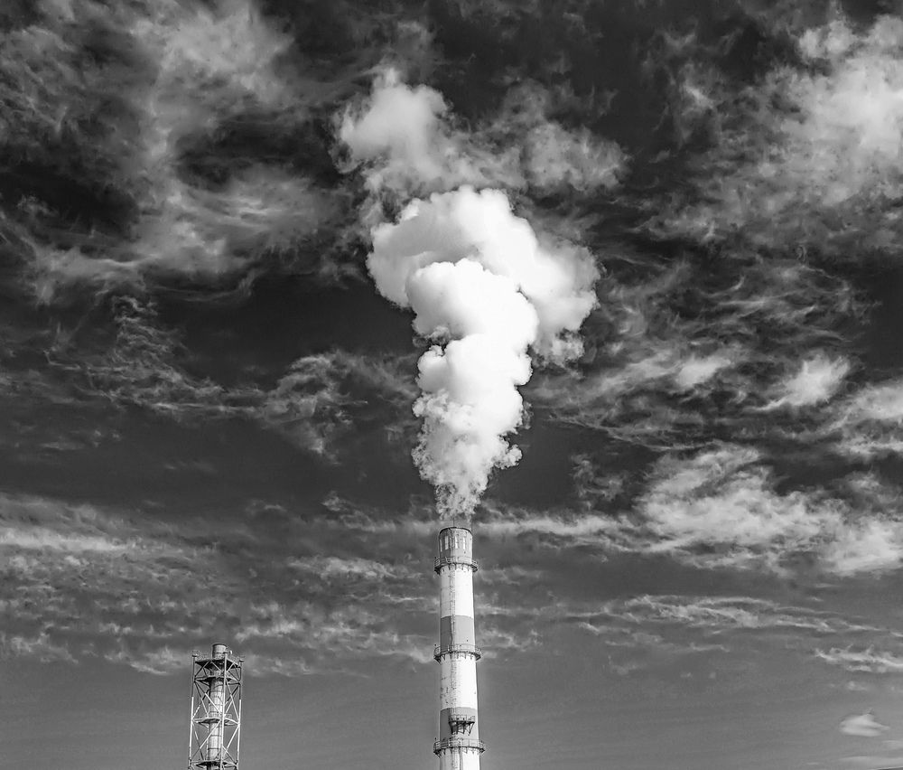 Фотография автора Владимир