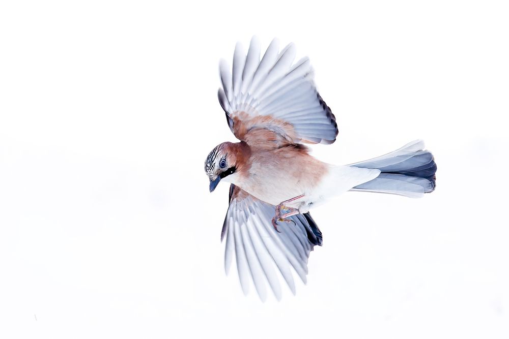 Фотография автора Patryk Kurc