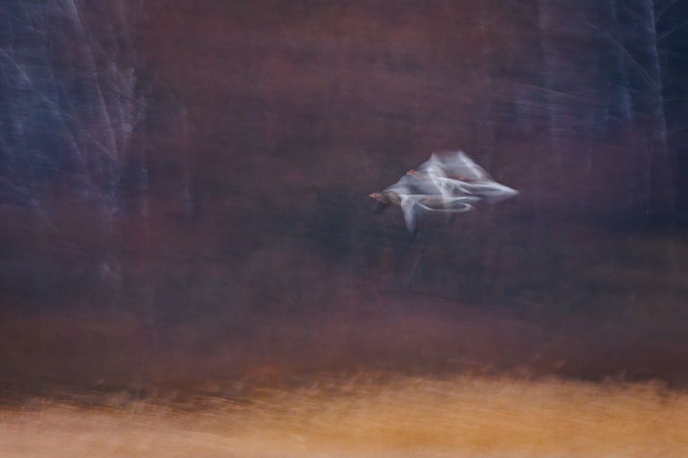 Фотография автора Patryk Kurc