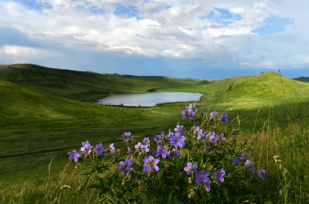 Photograph by Светлана Крат