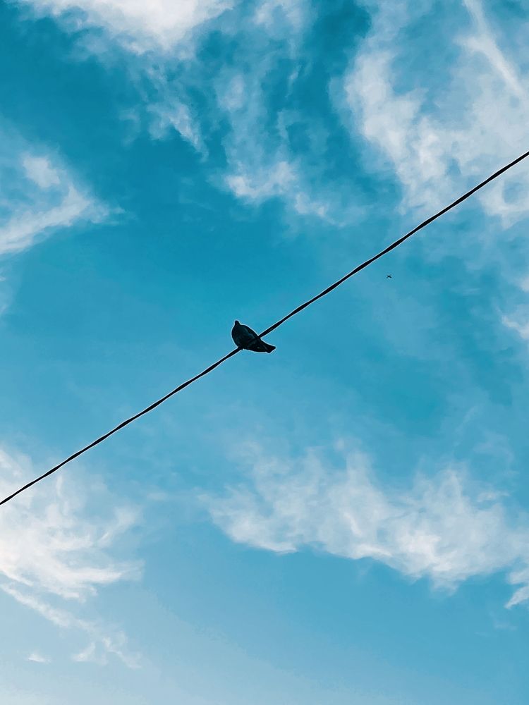 Photograph by Петр Смыковский