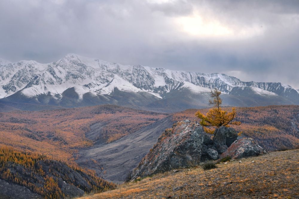 Photograph by Светлана Крат