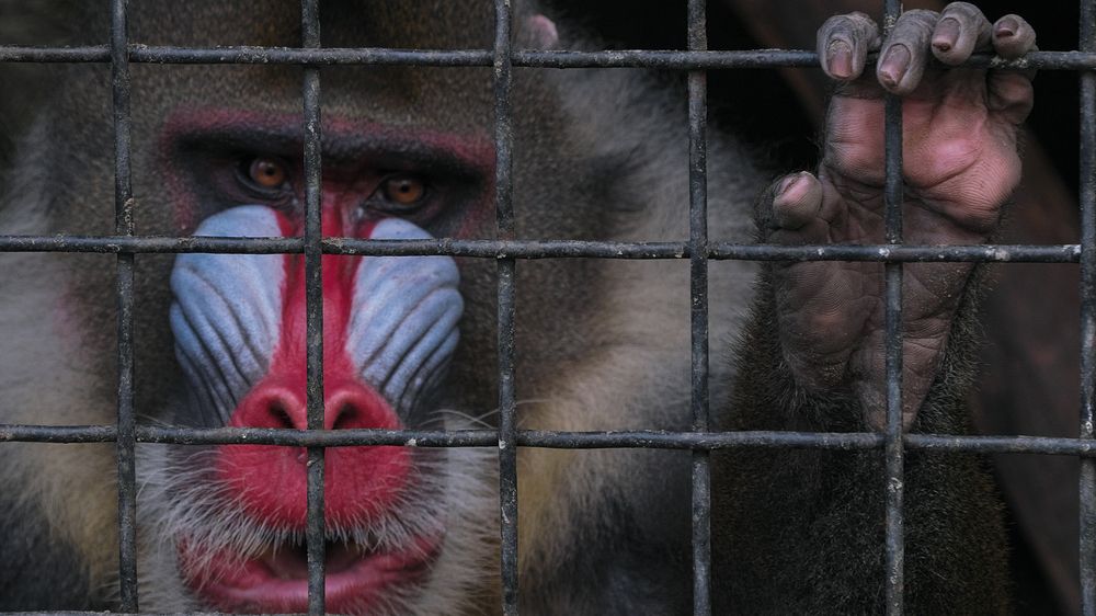 Photograph by Василий Шуклин