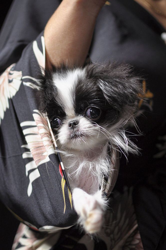 Photograph by Ирина Тертышникова