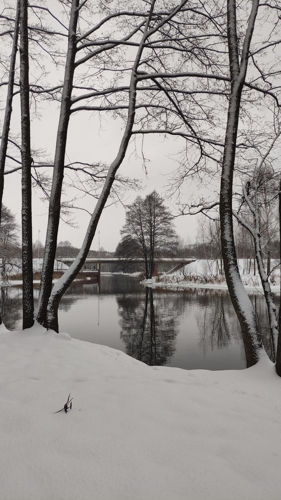Photograph by Ирина Подлубная