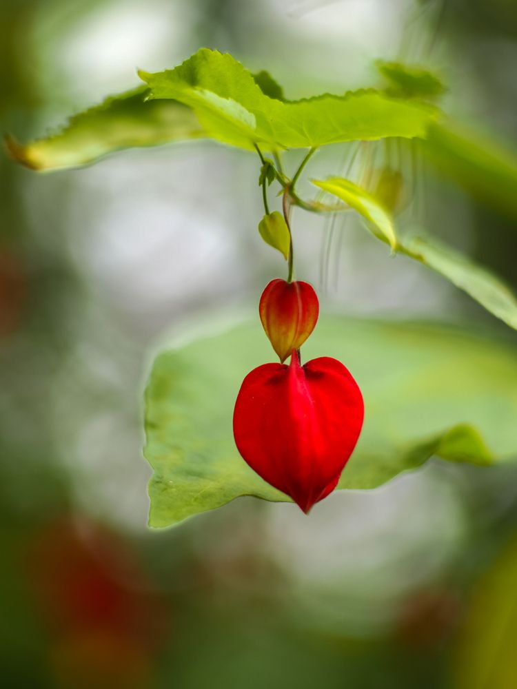 Photograph by WEONBAE PARK