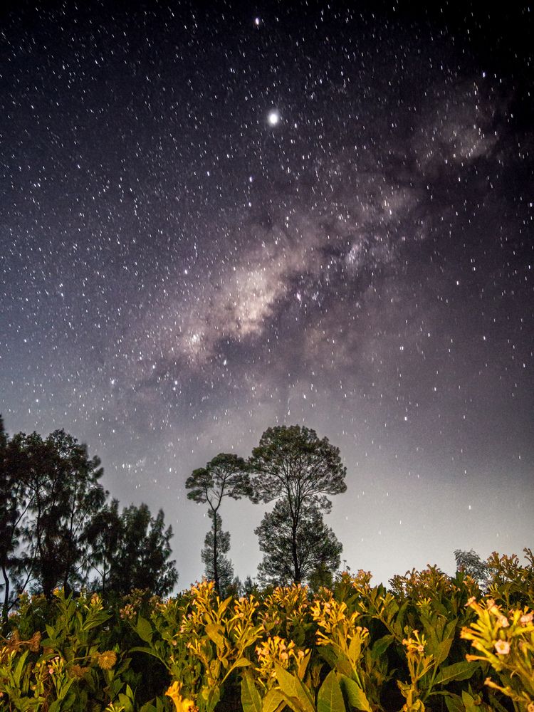 Photograph by Fery Bellamy