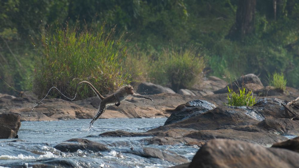 Фотография автора Anandhu M