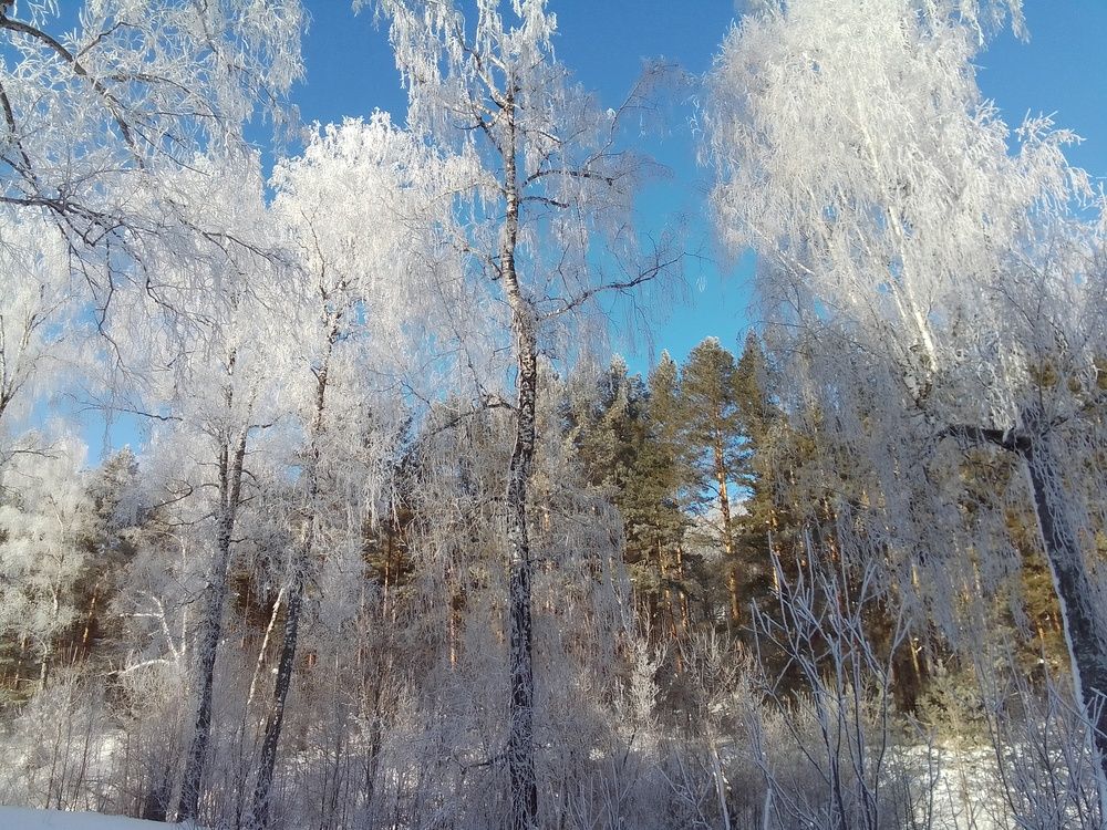 Photograph by Лилия Исхакова