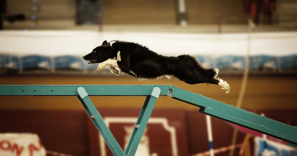 Photograph by Laura Salazar