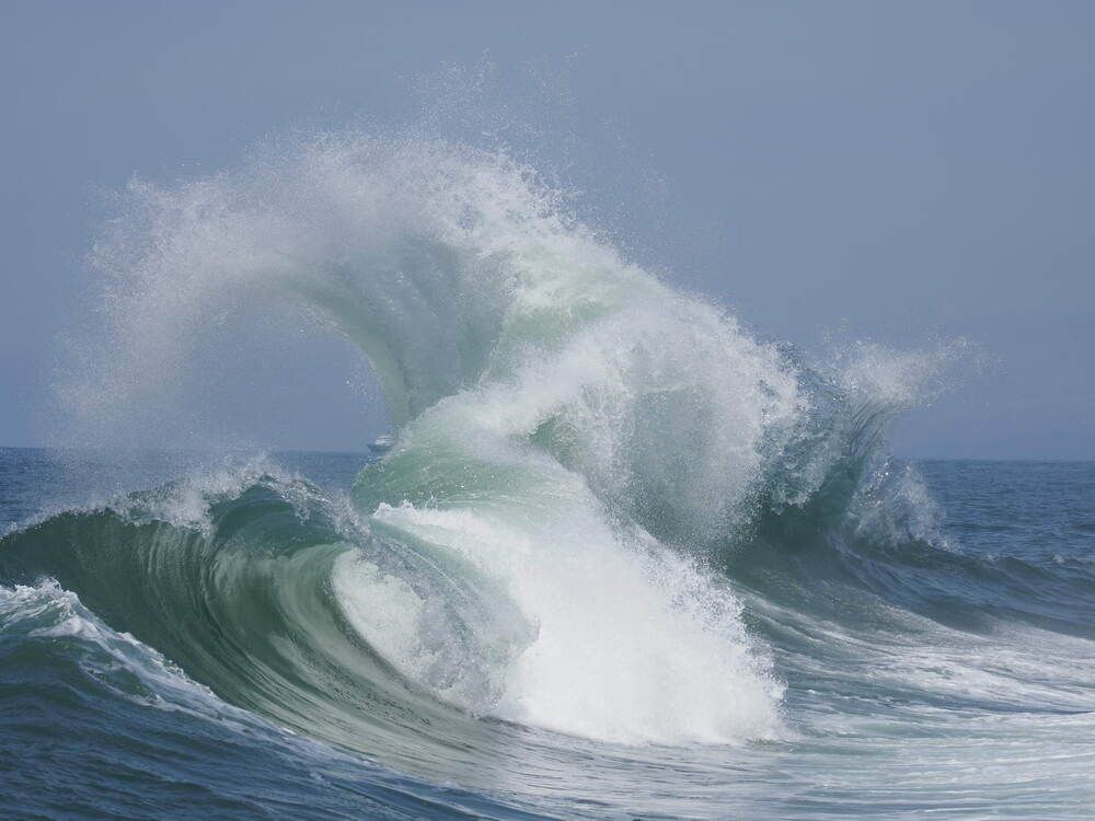 Вниманию скачивающих!   Копирование и распространение в интернете без разрешения автора запрещено! (смотрите, что такое авторское право).