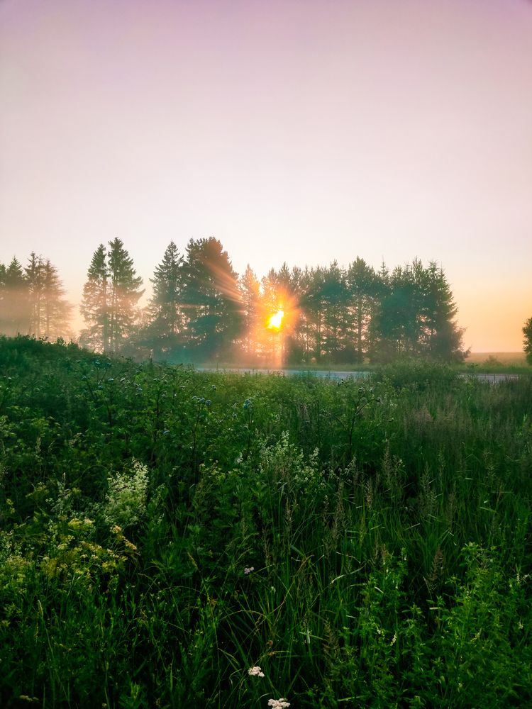 Photograph by Екатерина Горчилина