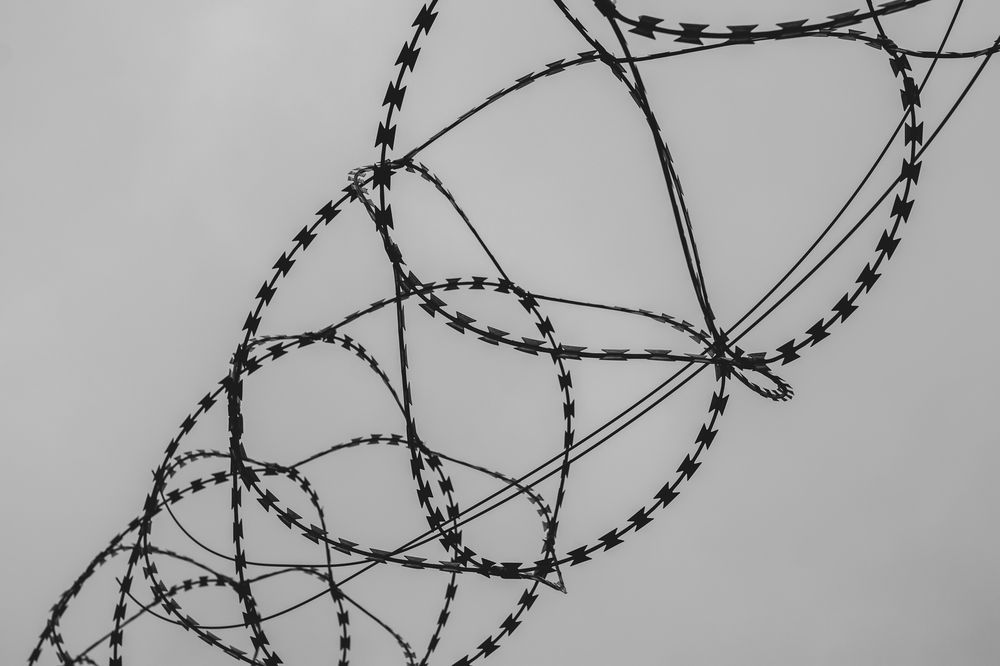 Photograph by Клюков Виталий