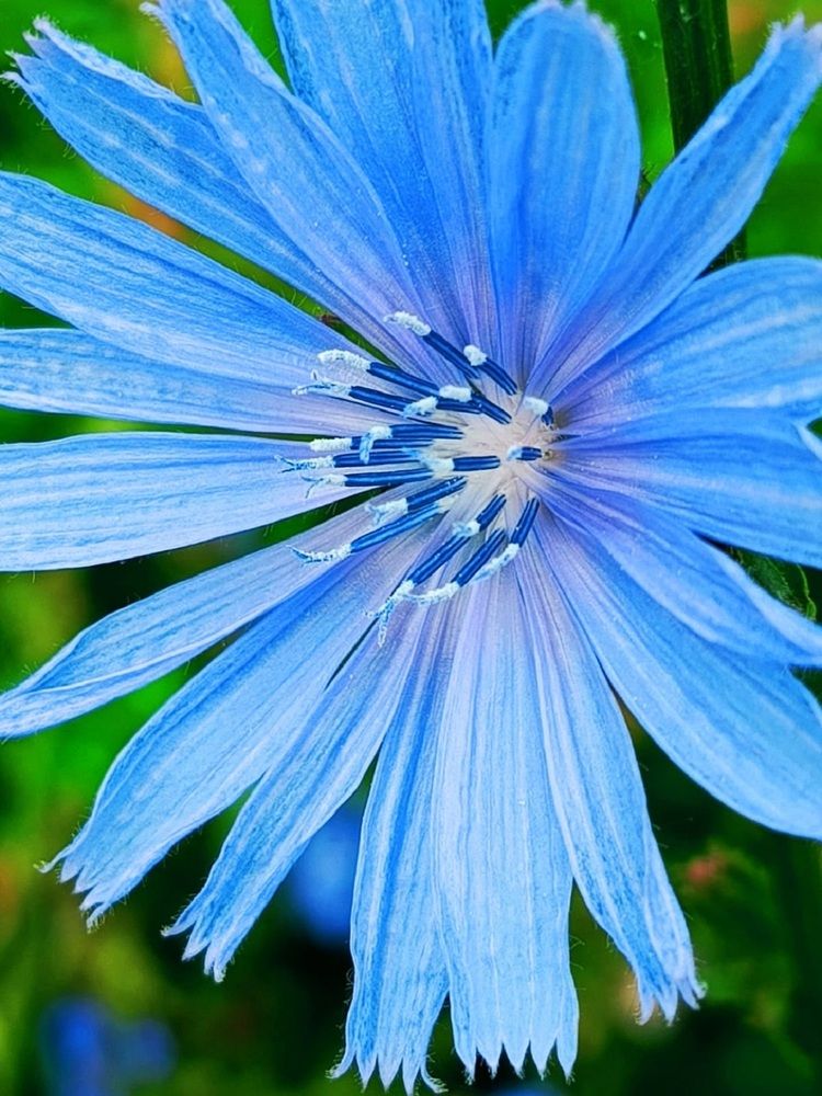 Photograph by Ирина Ильина