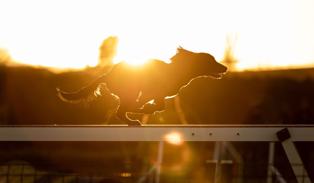 Photograph by Laura Salazar