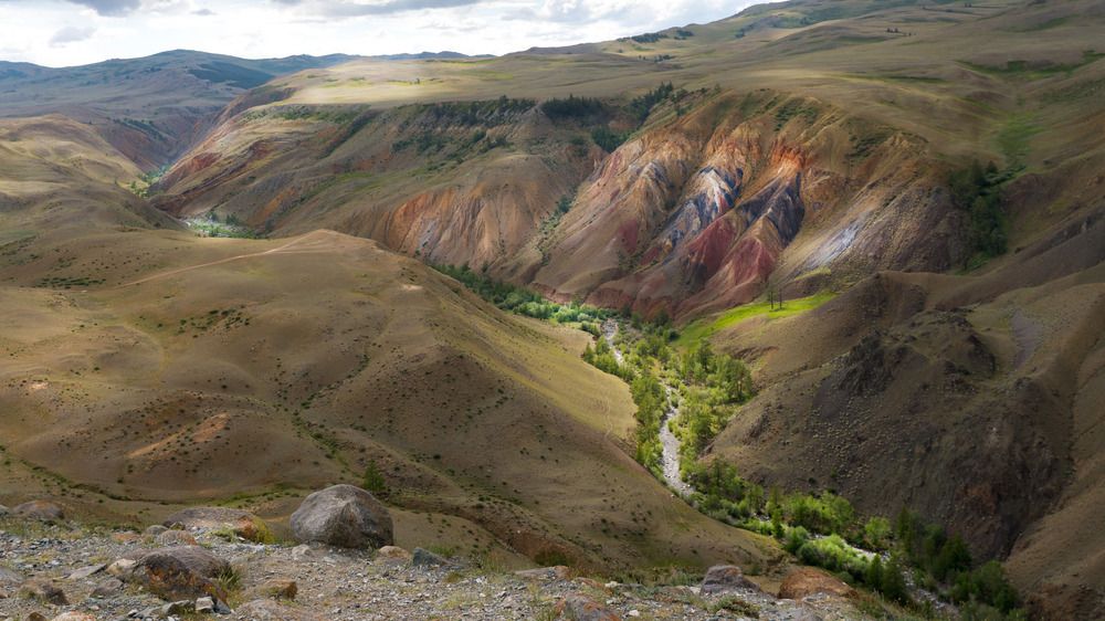 Фотография автора  Андрей
