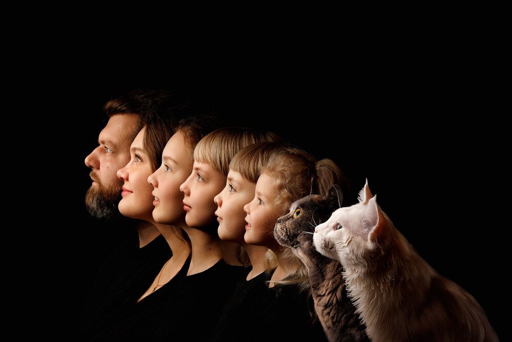 Photograph by Сонила Ужва