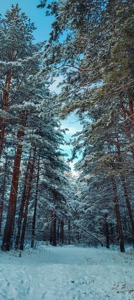 Фотография автора Оркина Ксения