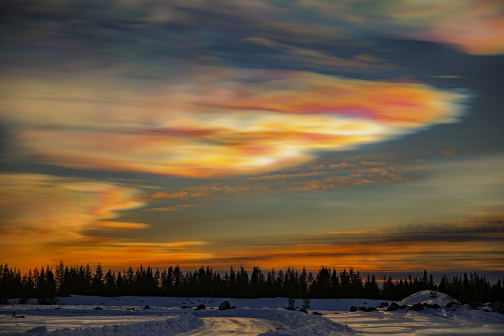 Photograph by Юлия Курм