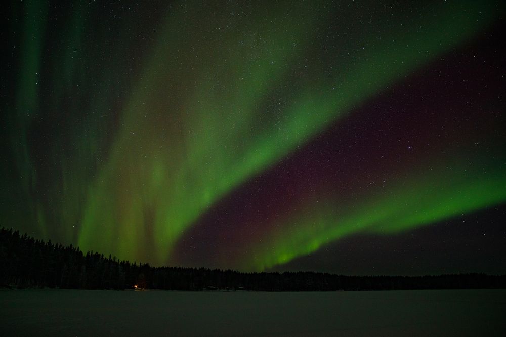 Photograph by Юлия Курм