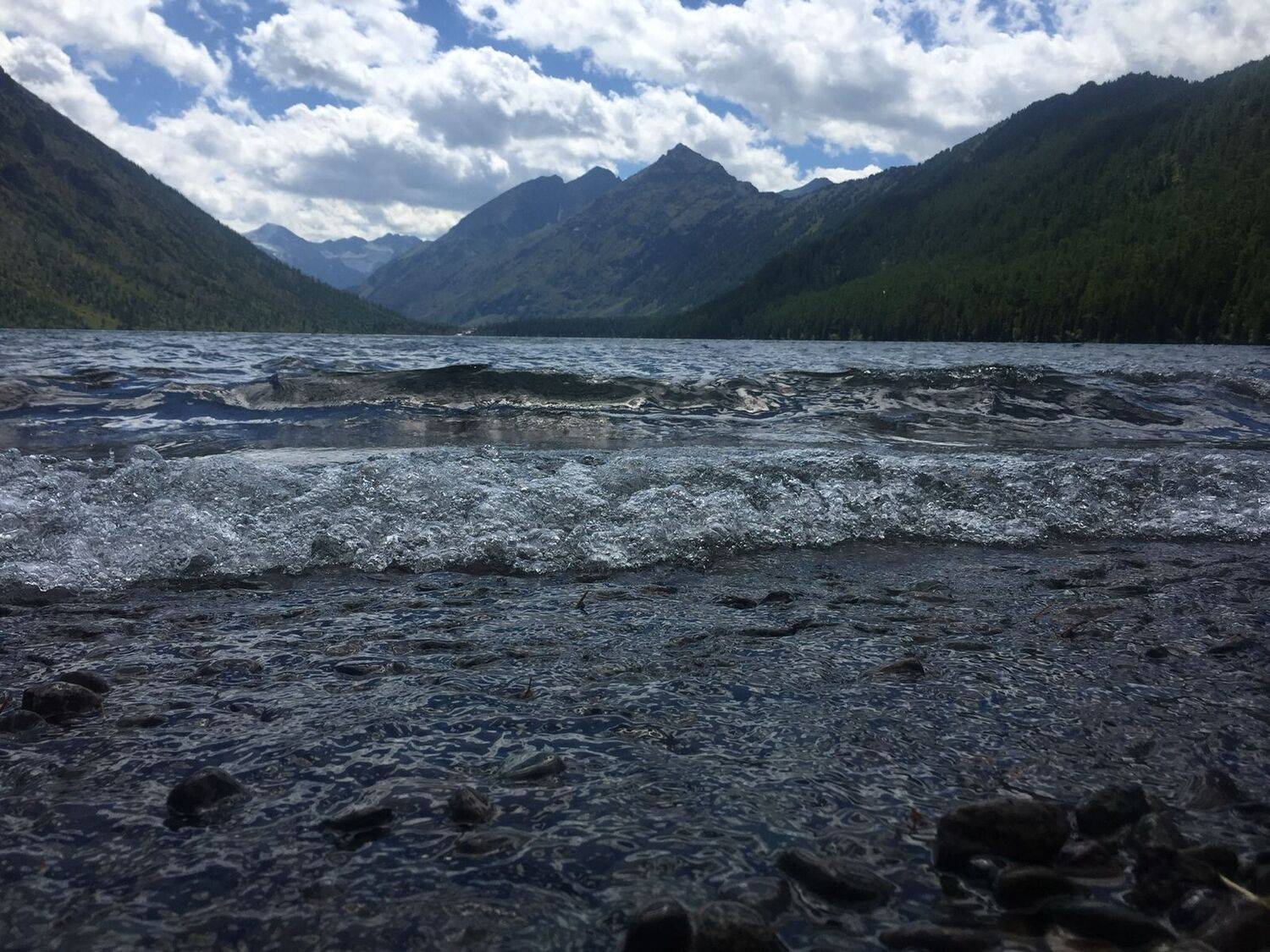 Photo #11851982