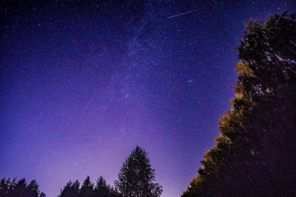 Photograph by Михаил Колосов