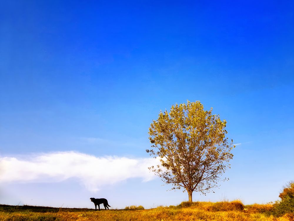 Photograph by Panait Beatrice-Elena