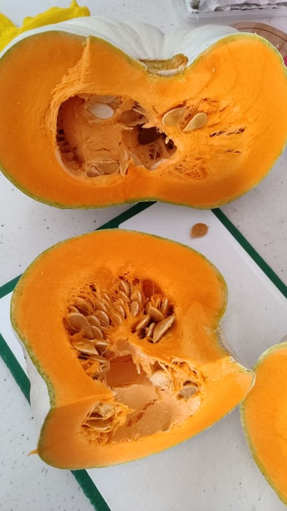 Photograph by aysun güneş