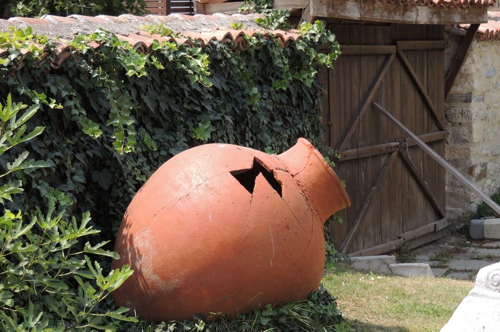 Photograph by Ольга Афанасьева