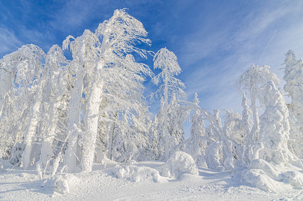 Фотография автора Каргин Валерий