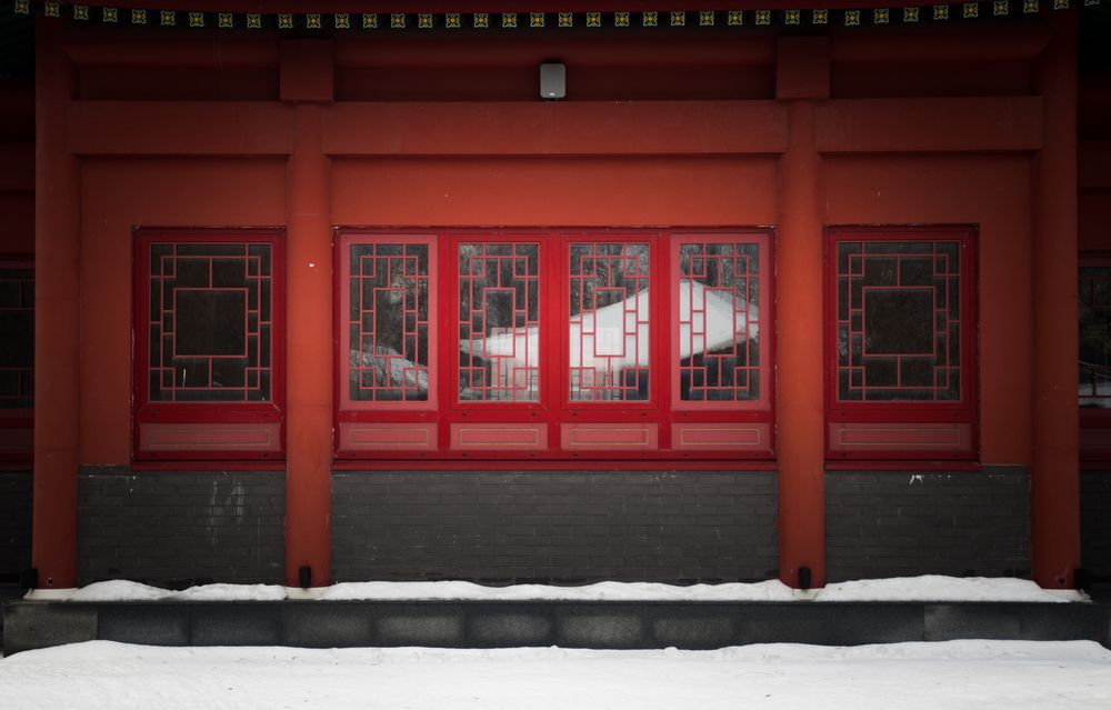 Photograph by Клюков Виталий