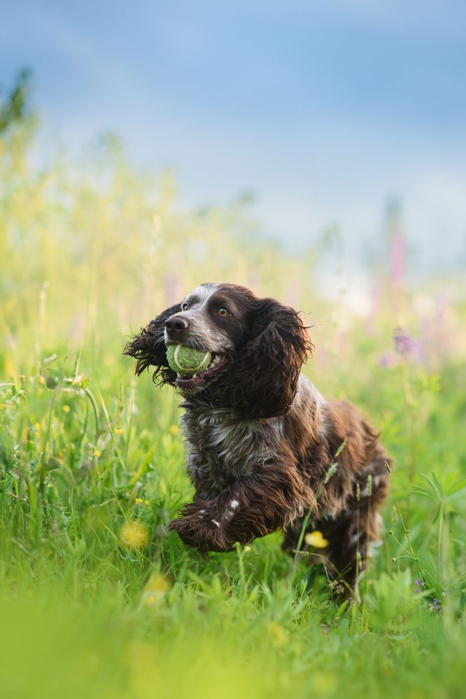 Photograph by Анна Абрамова