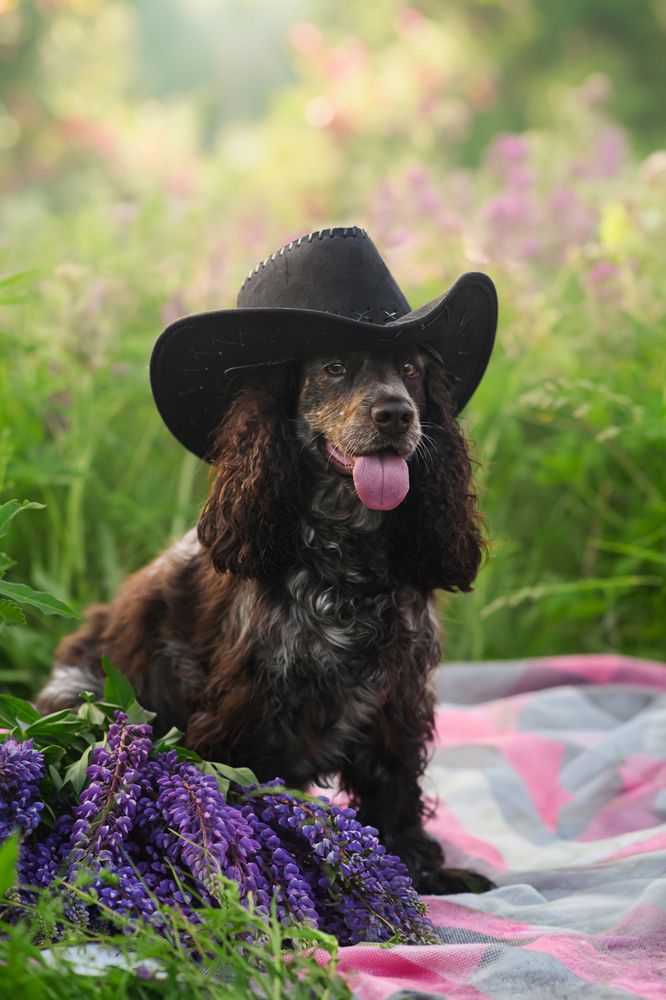 Photograph by Анна Абрамова