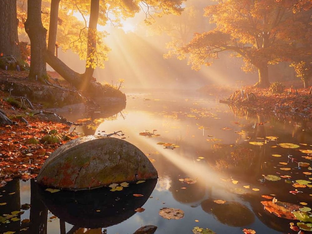 Фотография автора OXANA MARSOVA