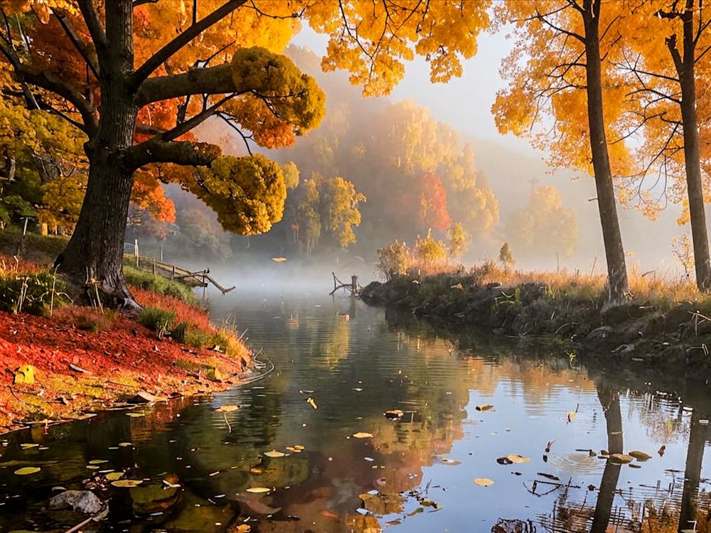 Фотография автора OXANA MARSOVA