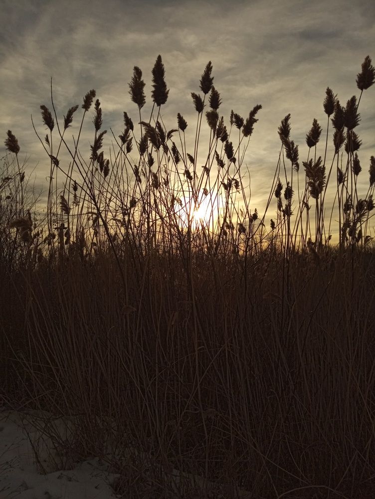 Фотография автора Евгения Кириллова