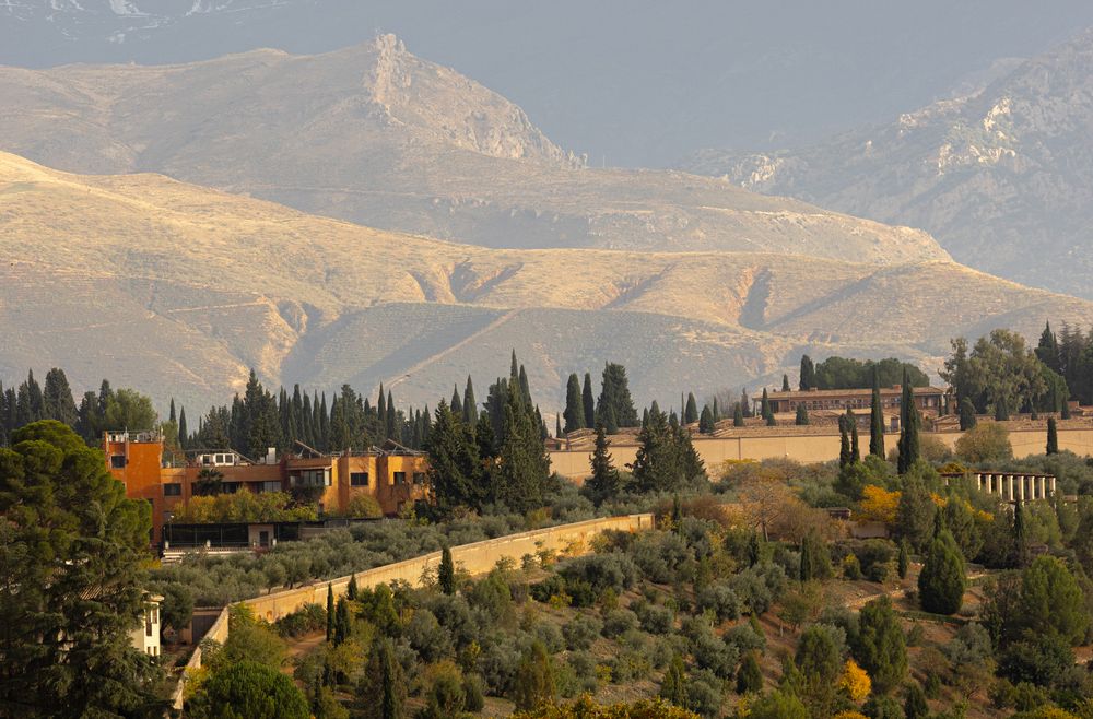 Photograph by Olga Tarabukina