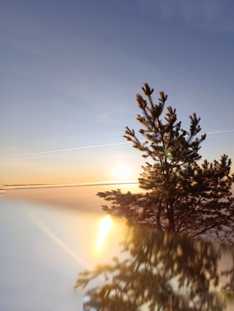 Photograph by Елена Шишкина