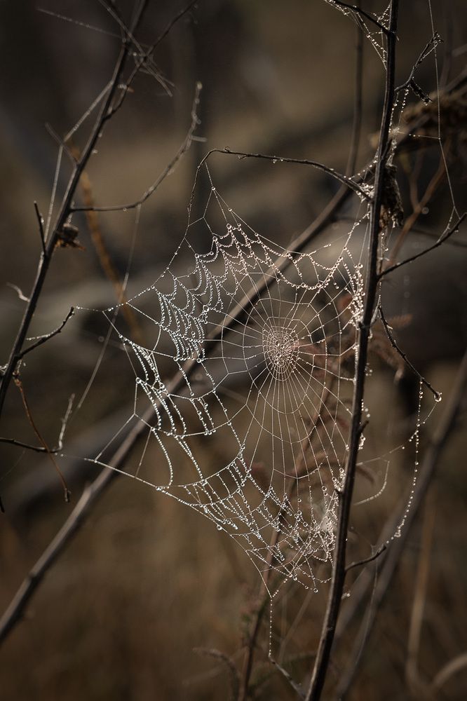 Photograph by Владимир Остапенко