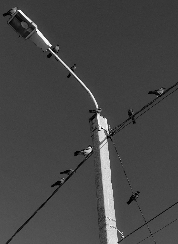 Photograph by Ксения Прицепа