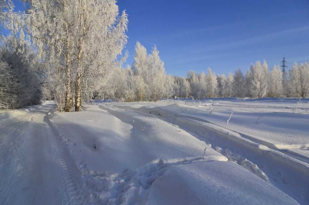 Фотография автора Клавдия Васильева