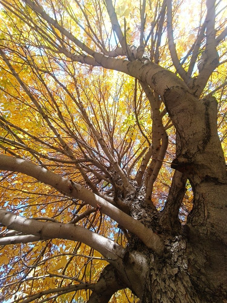 Photograph by Ангелина Воронцова