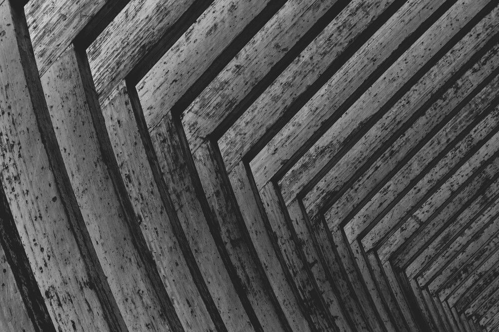 Photograph by Клюков Виталий