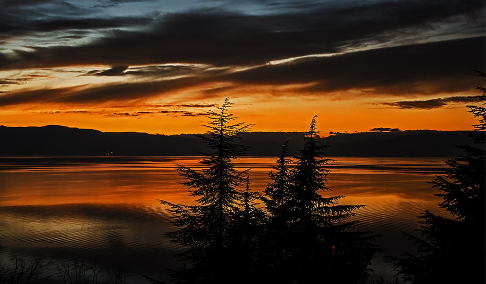 Photograph by Stojan Saveski