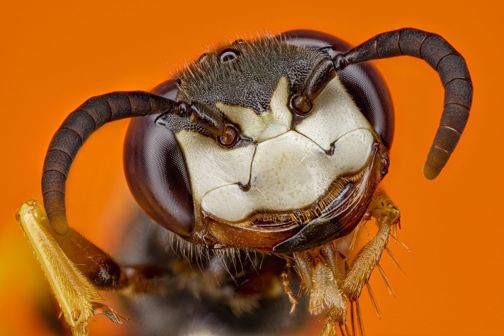 Photograph by Сергей Солобчук