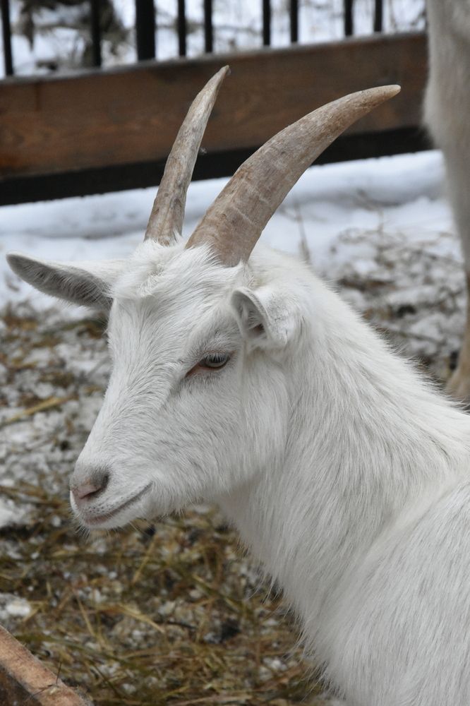 Photograph by Юлия Ю.